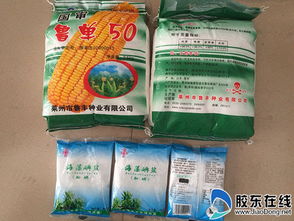 招遠(yuǎn)警方開(kāi)展 假鹽換真 健康伴你行 活動(dòng)圖