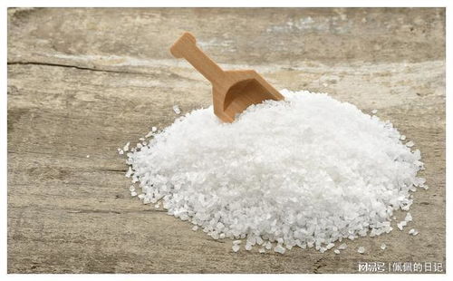 中國人餐桌上的鹽 傳統(tǒng)與現(xiàn)代的交融