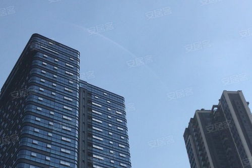 金地壹粵府綜合評析 優勢、不足與市場口碑